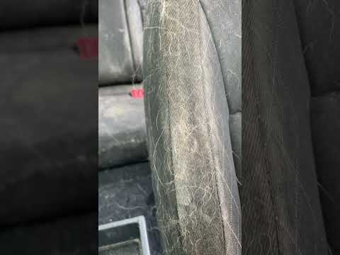 Dog hair removal from the car, Skoda before & after, Mobile Car Valeting Kinsale