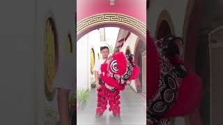 Download lagu PEMAIN BARONGSAI TERGANTENG mp3 Download lagu PEMAIN BARONGSAI TERGANTENG mp3