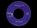 The Pastels -  What Can I Say