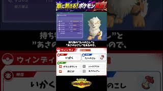 【ポケモンチャンピオンズ】癖に刺さるポケモン解説！ウィンディ編 #ポケモン#ポケモンチャンピオンズ