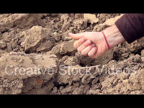 Man's hand checks on poor soil