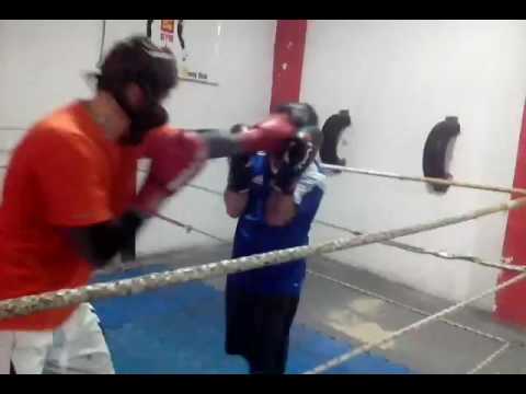 Entrenamiento liviano 2 / Guanteo