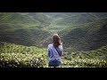In The Mood! ( Perez Prado) (Song/Artist Info) Romantic 4K Music Video Album! H.D.