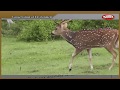 Conservation Of Environment 1 Samacheer 10th Std Science Question Bank Live Teaching