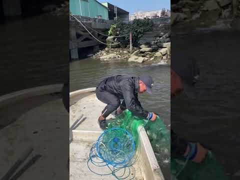 Most Satisfying Cast Net Fishing Video #1 46