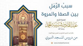 صورة سببُ الرَّمَلِ بين الصفا والمروة | فضيلة الشيخ عبدالقادر شيبة الحمد رحمه الله41