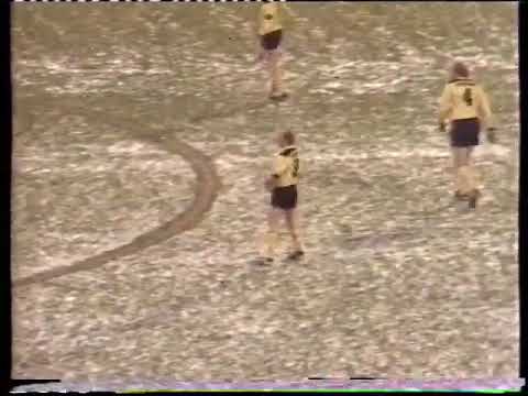 1983/1984 19. Spieltag Hamburger SV - Borussia Dortmund