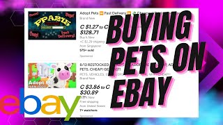 Buying PETS on EBAY... Will they SCAM ME?