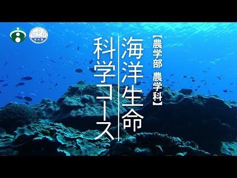 海洋生命科学コース　～海の未知を科学する～