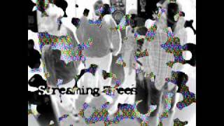 Screaming Trees - Other Days and Different Planets 87