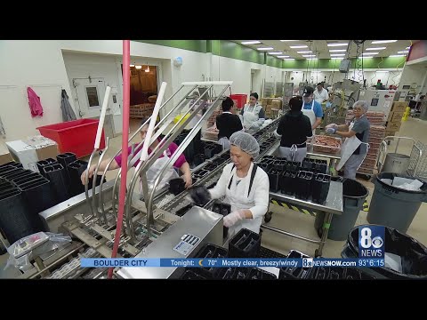 Ccsd Self Service