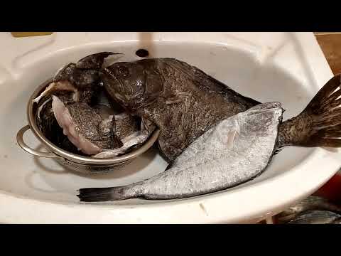 Tampal Puke | Herman Badillo