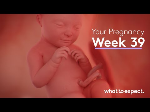 Mother-Baby developments this week (week 39)