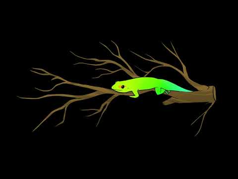 Poke Eyes - Lizardz
