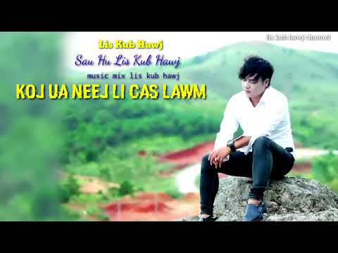 koj ua neej li cas lawm by lis kub hawj
