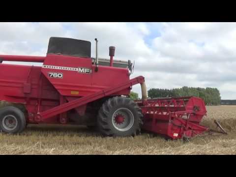 Landb. Van Hijfte - Groede - maaidorsen - Massey Ferguson 760