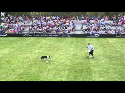 2014 IDC National Championships - Freestyle Flying Disc