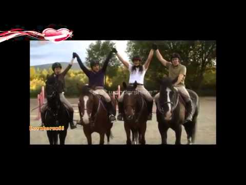 Flicka Country pride