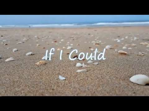 If I Could (Official Lyric Video) - Kendra Dantes