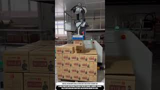 Robotic Palletizing Turns Repetition Into Precision