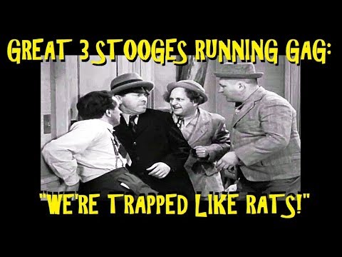 Great 3 Stooges Running Gag: "We're Trapped Like Rats!"