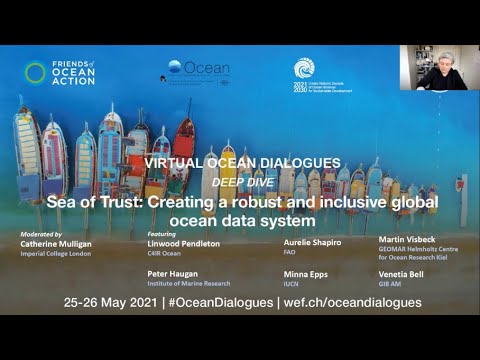 Friends of Ocean Action | Webinar: Sea of Trust, Creating a robust and inclusive global ocean data system