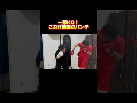 これでKOだ！ #ボクシング