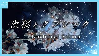 Download lagu 夜桜とクラシック～Nocturnal Sakura mp3