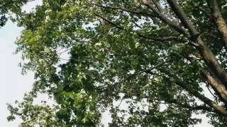 A brief moment of Serenity Tranquility and Peace