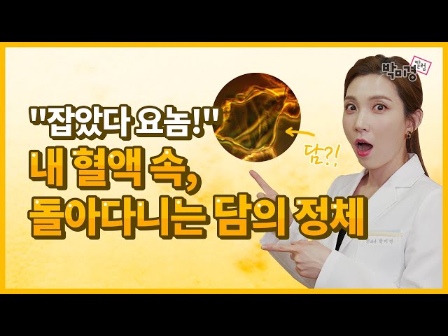Προφορά βίντεο 담 στο Κορέας