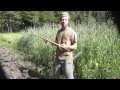 How To Use A Collinear Hoe A Precision Low Impact Weeder For The Veggie Garden