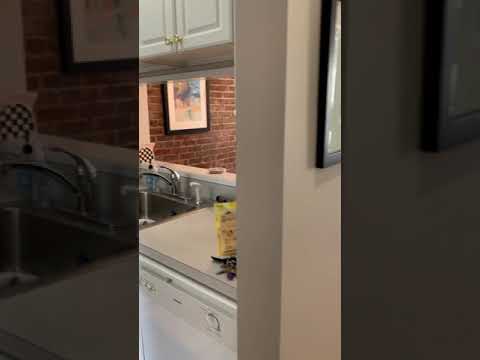 95 Prince St 6, Boston, MA