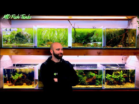 Building Another New Tank For My Fish Wall