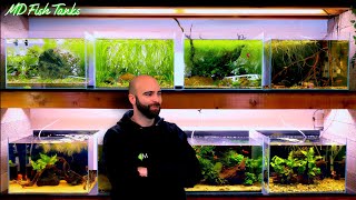 Building Another New Tank For My Fish Wall