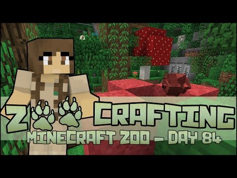 Blushing Chameleons!! 🐘 Zoo Crafting: Season 2 - Episode #84