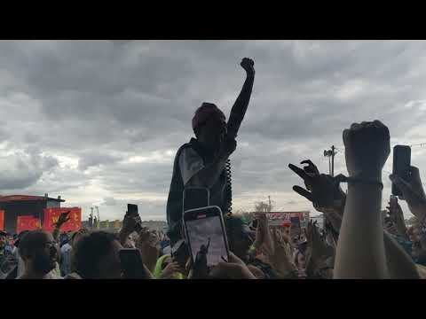 Larry Pink The Human Reading Festival 2021 Wasted Days