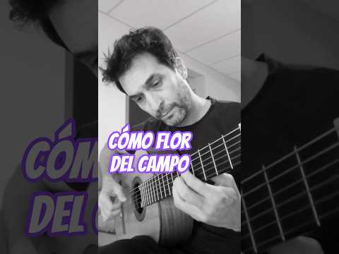 Como Flor Del Campo - Raúl Carnota