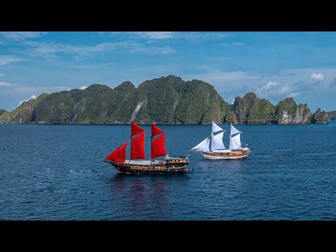 Calico Jack Liveaboard video