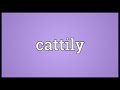Cattily Meaning