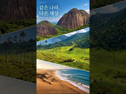 밀림 위 거대한 바위산부터 사막 끝 바다까지 | 콜롬비아 3분 여행 #shorts #travel