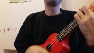 Zanin playing Magnetic Fields ('14IWIHP) on the uke