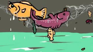 Panama Papers :::|::: Tax Havens 101 the High Cost of Going Offshore