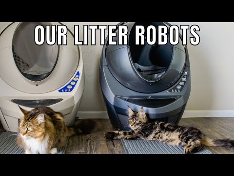 Talking About Our Litter Robots