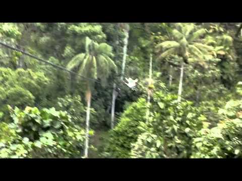Zipline Music Video.mp4