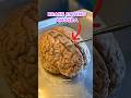 Deadly Brain Eating Amoeba Science Awareness