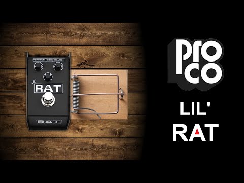 ProCo Lil' Rat Distortion Black image 2