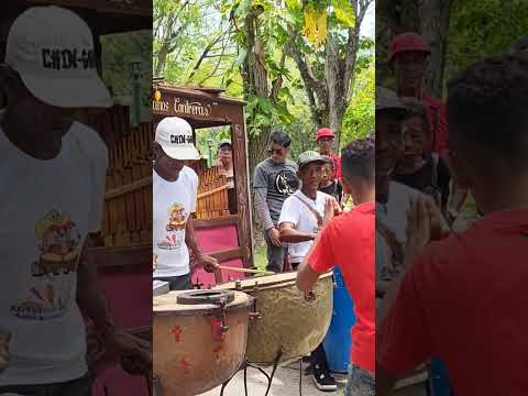 Órgano Oriental Hermanos Contreras de Media Luna. Granma