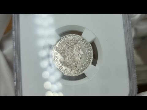 Zygmunt II August. Trojak (3 grosze) 1557, Gdańsk NGC MS63 (2 MAX) - PIĘKNY i RZADKI | Aukcja 35