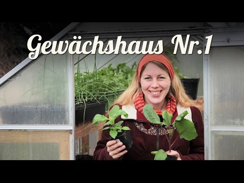 , title : 'Gewächshaus vorbereiten & bepflanzen 🌹 Erfahrungen und Tipps 🌹 Selbstversorger Garten'