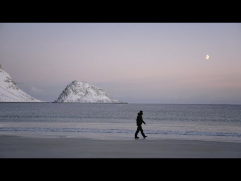 THYLACINE - Polar (Official music video)